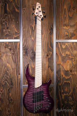 Dingwall Combustion 5-3 Ultra Violet