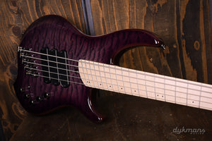 Dingwall Combustion 5-3 Ultra Violet