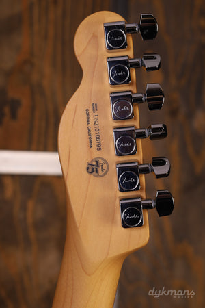 Fender American Professional II Telecaster PRE-OWNED