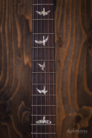 PRS Custom 24 Piezo Aurora Borealis 10-Top