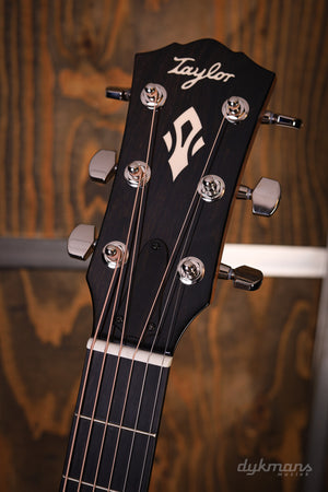 Taylor 514 Gold Label