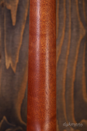 Taylor GS mini-e Special Edition Trans White