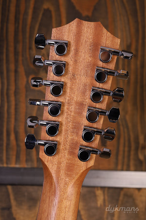 Taylor 150th 12 string