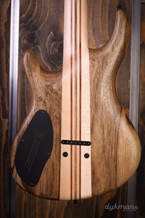 Mayones Regius 7 Buckeye Burl Master Grade Custom Color PRE-ORDER