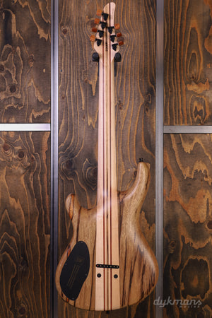 Mayones Regius 7 Buckeye Burl Master Grade Custom Color PRE-ORDER