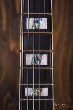 Ibanez PM200 Pat Metheny