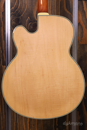 Ibanez PM200 Pat Metheny