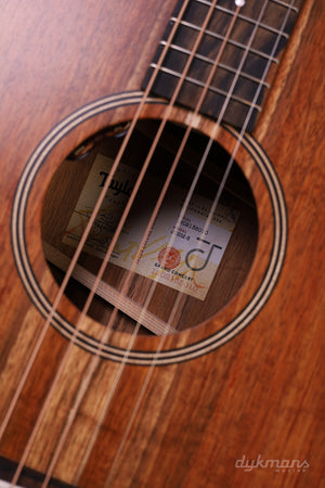 Taylor JCSM-5 Jacob Collier Signature