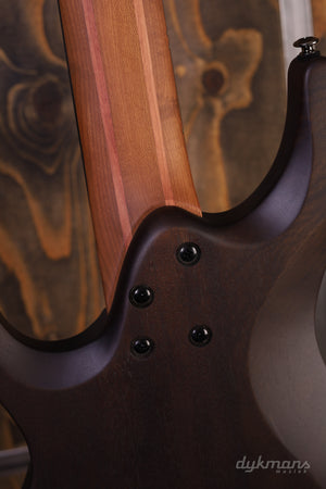 Ibanez QX527PE-NTF