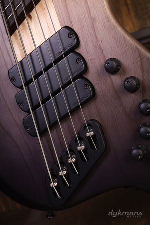 Dingwall Custom Shop ABZ 5 string  Faded Blackburst NKF