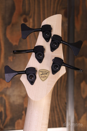 Dingwall Custom Shop ABZ 5 string  Faded Blackburst NKF