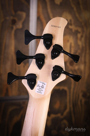 Dingwall D-Roc Standard 5 Blue to Purple Colorshift