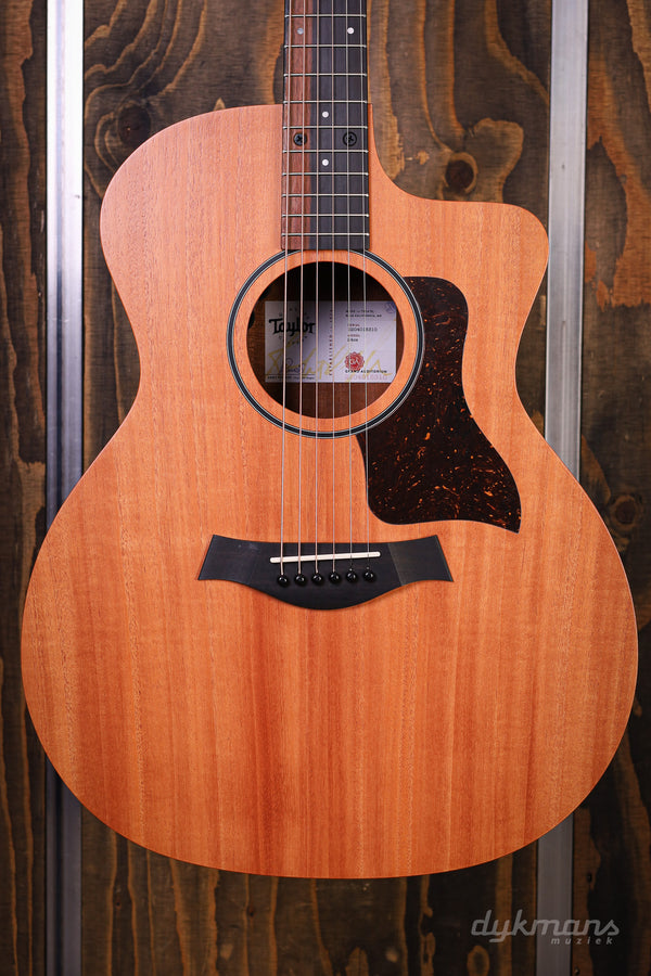 Taylor 24ce