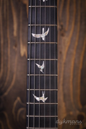 PRS Custom 24 "Floyd" Custom Color 24 10-Top