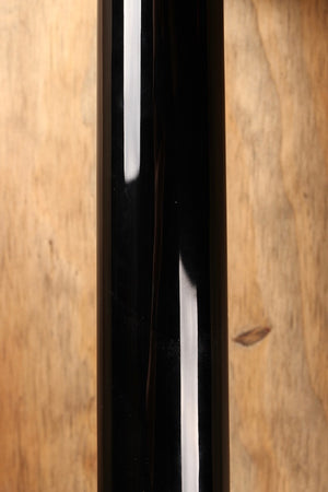 Taylor 250ce-BLK DLX B-stock