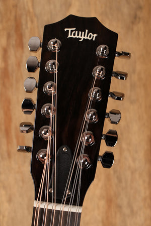 Taylor 250ce-BLK DLX B-stock