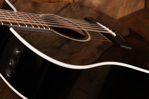 Taylor 250ce-BLK DLX B-stock