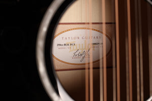 Taylor 250ce-BLK DLX B-stock