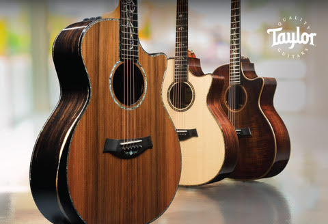 Taylor Guitars Event bij Dijkmans Breda - Gratis toegang!