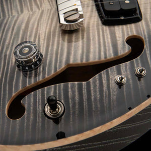 PRS Private Stock 30th Anniversary “BIRDS OF A FEATHER” Hollowbody