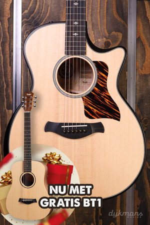 Taylor 314CE Builder's Edition LTD 50th Anniversary