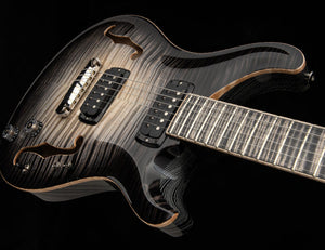 PRS Private Stock 30th Anniversary “BIRDS OF A FEATHER” Hollowbody