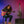 PRS Herman Li Chleo Limited Edition Orchid Dusk PRE-ORDER!