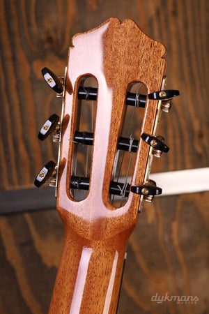 Bautista Iranzo 25 Flamenco