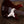 Sandberg Florence Ruby Red Soft Aged