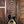 Epiphone Adam Jones Les Paul Custom Art Collection: Mark Ryden’s “Queen Bee”