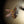 Epiphone Adam Jones Les Paul Custom Art Collection: Mark Ryden’s “Queen Bee”