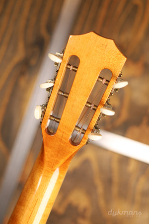 Taylor GC6