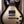 Gibson Adam Jones Les Paul Standard Antique Silverburst