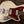 Novo Serus J Dealer Limited in Olympic White over Aztec Gold