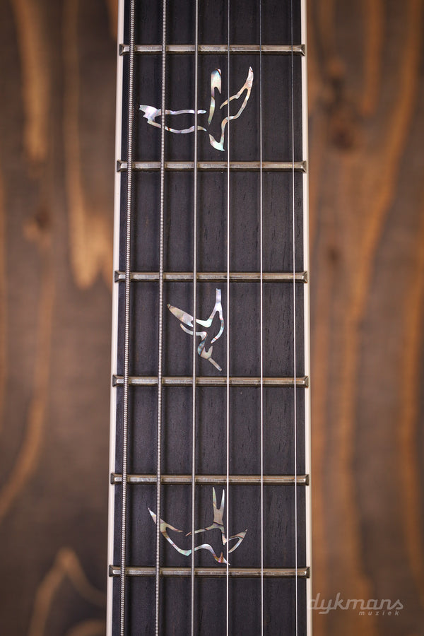 PRS Mark Holcomb Holcomb Wraparound Burst #0409448