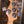 Squier Classic Vibe Active '70s Jazz Bass V Siena Sunburst