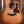 Taylor 50th Anniversary 314ce LTD