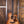 Taylor 50th Anniversary 314ce LTD