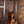 Taylor 50th Anniversary 314ce LTD