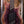 Dingwall Custom Shop Z3X-5 Burl Maple Purple to Naturel Revburst