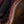 Dingwall Custom Shop Z3X-5 Burl Maple Purple to Naturel Revburst