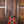 PRS CE24 Limited Satin Tobacco Sunburst