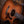 Taylor 50th Anniversary 314ce LTD