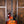 Gibson ES-137 Custom 2003 PRE-OWNED!