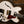 Epiphone IGC Alex Lifeson 1976 ES-355 Reissue Alpine White