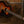 Martin 00 DB Jeff Tweedy