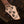 Dingwall Combustion 5-3 Indigo Burst