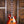 Epiphone Les Paul Standard 60s Iced Tea