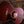 Gibson L-00 Special Satin Wine Red