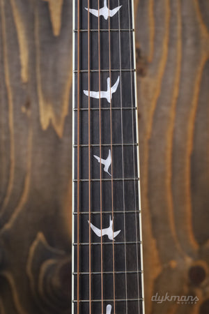 PRS SE A20E